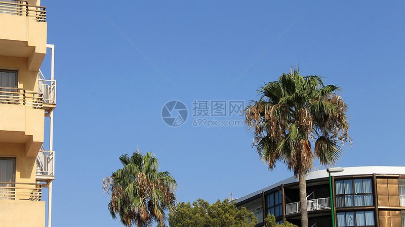 自由行攻略：城市白领的出行秘籍